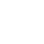 TECHNICAL COUNCIL